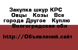 Закупка шкур КРС , Овцы , Козы - Все города Другое » Куплю   . Волгоградская обл.